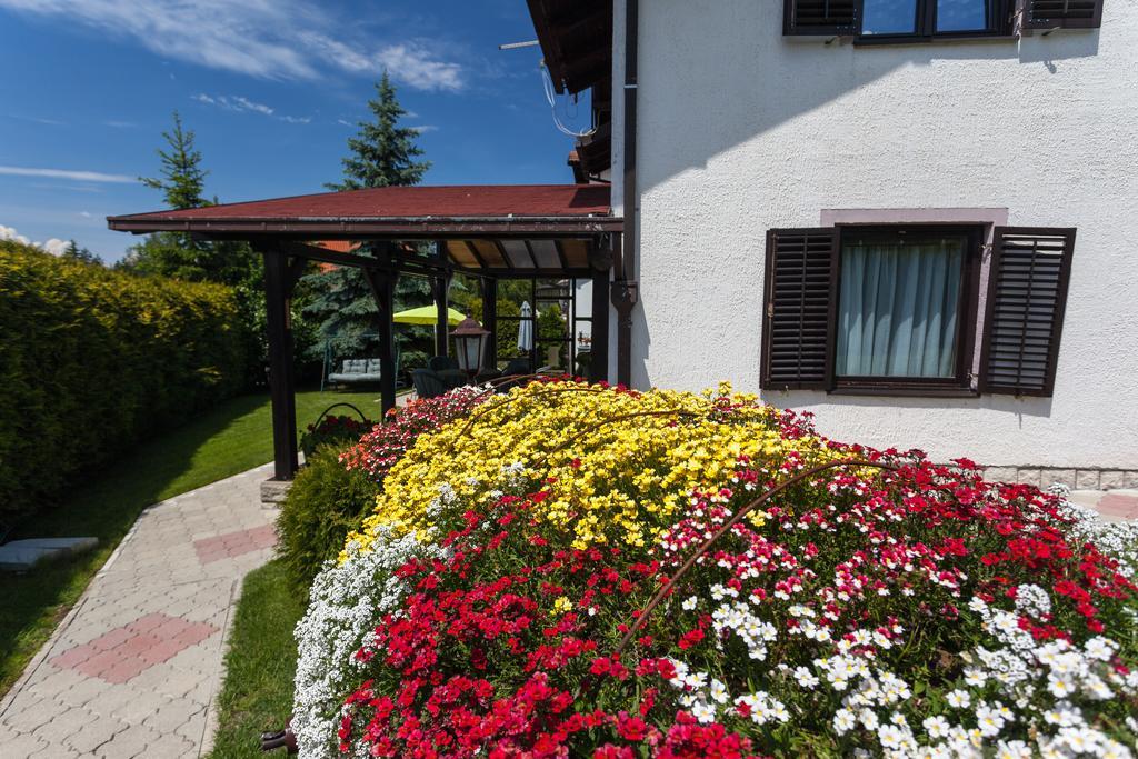Vila Aleksandra Zlatibor Exterior foto
